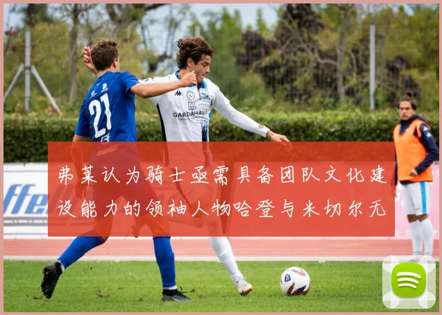 弗莱认为骑士亟需具备团队文化建设能力的领袖人物哈登与米切尔无法胜任