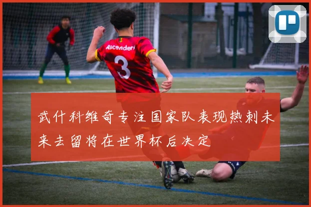 武什科维奇专注国家队表现热刺未来去留将在世界杯后决定